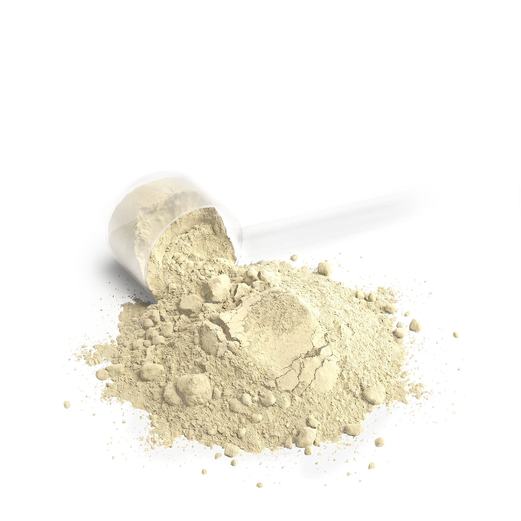 Dutchman Protein (Vanilla)